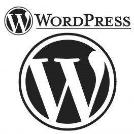  WordPress - Posicionamiento web y optimización en buscadores