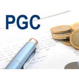 Aplicación del nuevo PGC para PYMES. Manual práctico