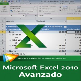 Excel avanzado 2010