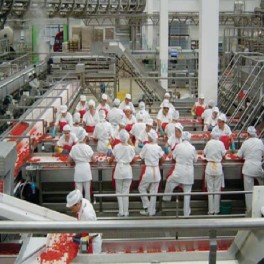 Manejo de instalaciones para la elaboración de productos alimentarios